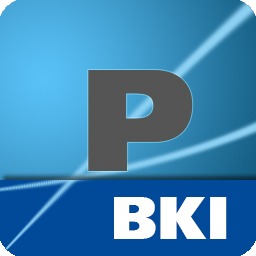 Icon BKI Positionen 13